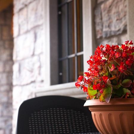 B&B San Pellegrino Terme Zogno エクステリア 写真