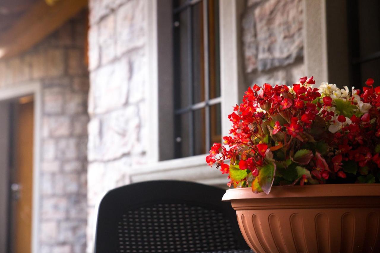B&B San Pellegrino Terme Zogno エクステリア 写真